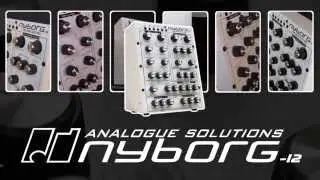 06 The Analogue Solutions Nyborg 12:  Sync