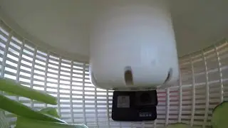 How to Get Kids to Eat Veggies - 2 GoPros in a Salad Spinner