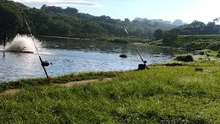 MAKING A WHIP FOR THE PIRARARA
