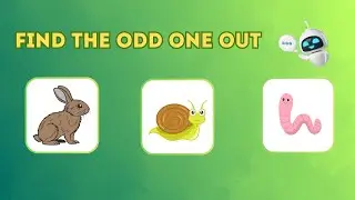 Guess the Odd One Out | Fun logical questions quiz for kids | Brain teasers & riddles for kids