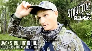 Day 7 Struttin In The Bluegrass Turkey Hunting