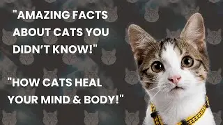 Amazing Facts About Cats | Top Cat Breeds in USA & Health Benefits of Owning Cats