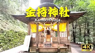 【Financial Luck】Visiting Kanemochi Shrine｜Japan&rsquo;s Famous Wealth Shrine