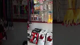 Companion Animal Doctors Veterinary Clinic and Pet Essentials