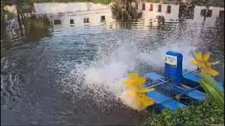 PADDLE WHEEL AERATOR | Available on IndiaMART