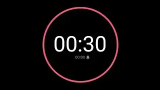 30 Second Countdown Timer / iPhone Timer Style