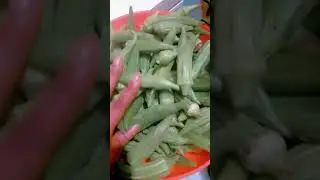 see what we have here fresh okra #favourite #favourite 🤪🤪