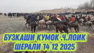 БУЗКАШИ КУМОК Ч .ЛОИК ШЕРАЛИ Ш ПАНЧАКЕНТ 14 12 2025