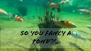 So you fancy a pond?!...