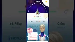 Evolving shadow hundo Larvitar to Smackdown Tyranitar