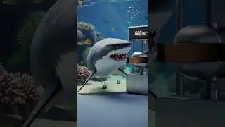Which Ocean Animal Has the STRONGEST Bite?! 😲🌊 #toontalesplanet #funlearning #kidsanimation