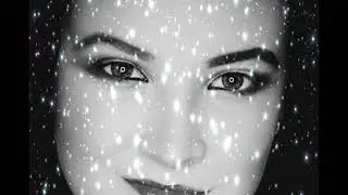 White Fox (Official Audio) - Sophie Moss