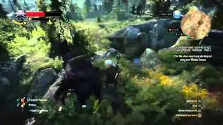 Geralt is gonna f*ck b*tches