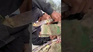 Chori with friends 😅 || Faisal vlogger 3.0 || #shorts #vlog #minivlog #friends