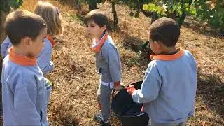 Proyecto Ribeira Sacra de Escolapios Monforte #NosMueveLaEducación 10