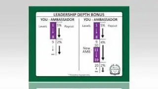 ViSalus Leadership Depth Bonus
