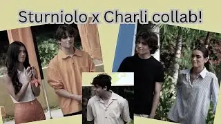 The Sturniolo Triplets on Charli vs Dixie!