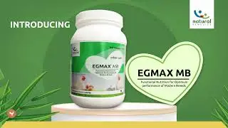 Natural Remedies | Egmax MB | Standardized Botanical Powder (SBP) | Reproductive Care