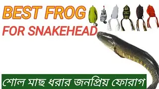 UNBOXING FISHING FROG ||LUCANA FISHING FROG UNBOXING #Fishingfrog #Lucanafrog #Bestfrog