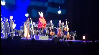 Strive &mdash; Hollow Knight Silksong OST. Live orchestra