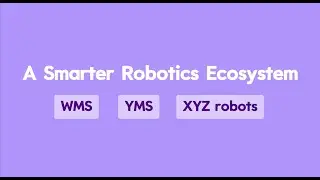 ITEM Smart Warehouse Automation: XYZ Robot for Unloading & Palletizing