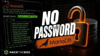 Logging Into a MySQL Database with No Password   HackTheBox Sequel Walkthrough Beginner