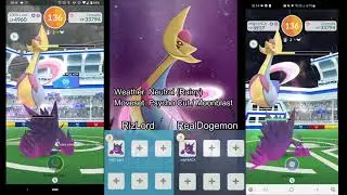 Cresselia Duo - Mega Gengar Only ( Neutral Weather - Psycho Cut / Moonblast)