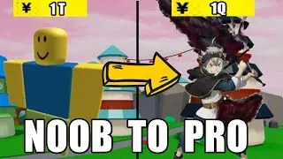 (Update 14) Noob To Pro In Anime Fighters Simulator
