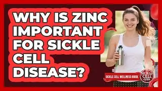 Why Is Zinc Important For Sickle Cell Disease?