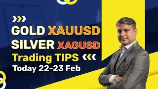 PMI Data News Trading -Gold & Silver: Rise & Rally or Crash? Gold (XAUUSD) & Silver Today 22 Feb
