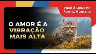 O Amor &Eacute; A Vibra&ccedil;&atilde;o Mais Alta