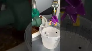 Follow 5 steps for resin pour on olive root wood