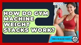 How Do Gym Machine Weight Stacks Work? - Fitness for College Students