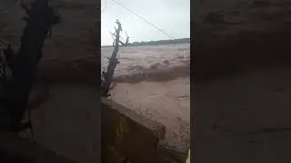 Flash flood in the Ujj river in kathua district #shorts