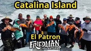 El Patron & Friedman Adventures with calico bass, barracuda and limits of rockfish at Catalina