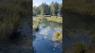 Немецкий язык ожидание vs реальность.Deutsch Erwartung vs Realit&auml;t!🇩🇪