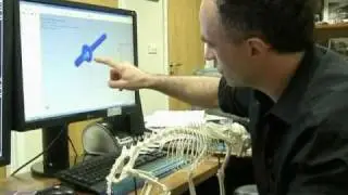 Oscar the 'Bionic Cat'