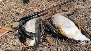 ОХОТА НА ГУСЯ 2016, Goose hunting 2016