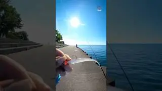 Perch fishing in the Windy City