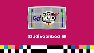 Studieaanbod 1B