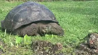 Gal&aacute;pagos Islands - January 2024