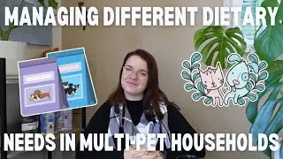 How to Manage Different Dietary Needs in Multi-Pet Households | 3 Tips from a Pet Nutritionist