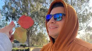 I got him ENCHROMA glasses | HONEST review on COLOR BLIND GLASSES!  Do they really work??