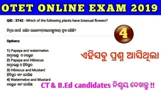 OTET Online Exam 2019 Questions with Answers !! OTET Official Answerkey 2019 !!