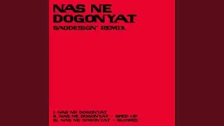 Nas Ne Dogonyat