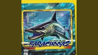 Baracuddas