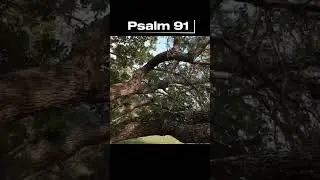 PSALM 91 Live Bible reading, with FPV Drone footage background