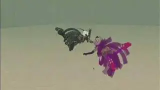 dancing with ryugood Zimminy