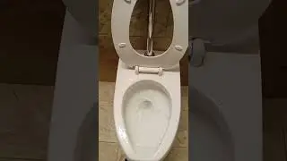 Flushing a useless face mask down the toilet