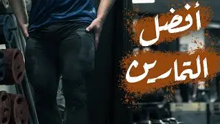 أفضل تمارين الأرجل